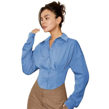 Long Sleeve Collared Blouse